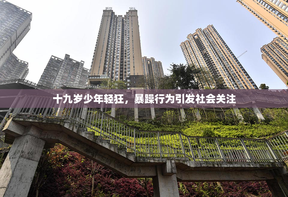 十九岁少年轻狂，暴躁行为引发社会关注