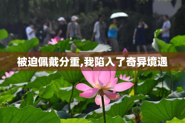 被迫佩戴分重,我陷入了奇异境遇