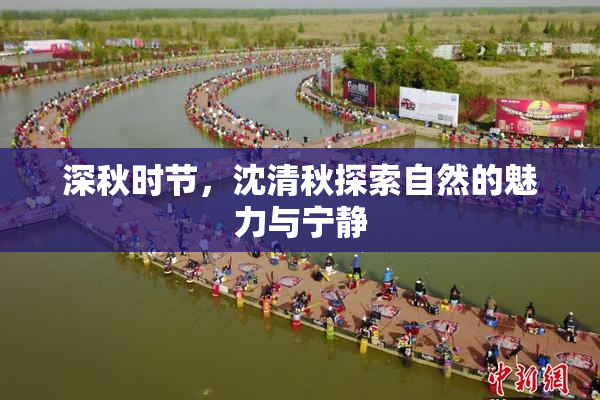 深秋时节，沈清秋探索自然的魅力与宁静