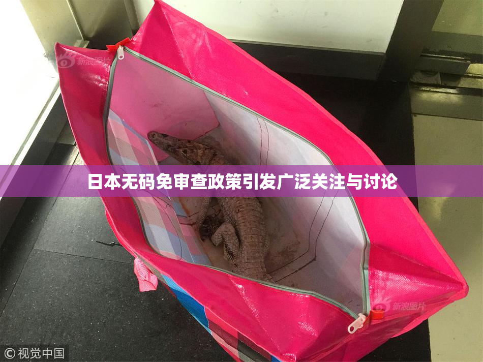 日本无码免审查政策引发广泛关注与讨论