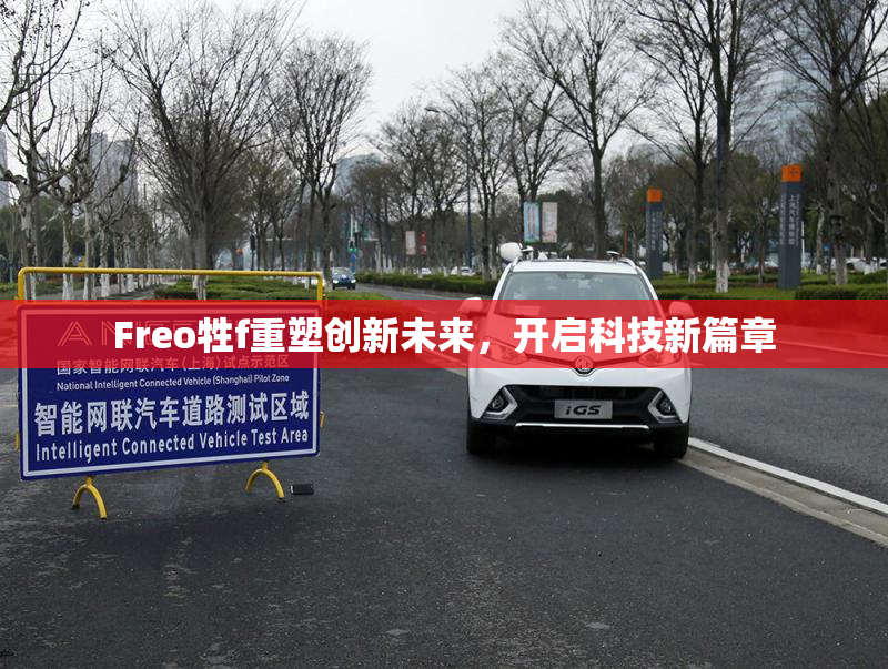 Freo牲f重塑创新未来，开启科技新篇章