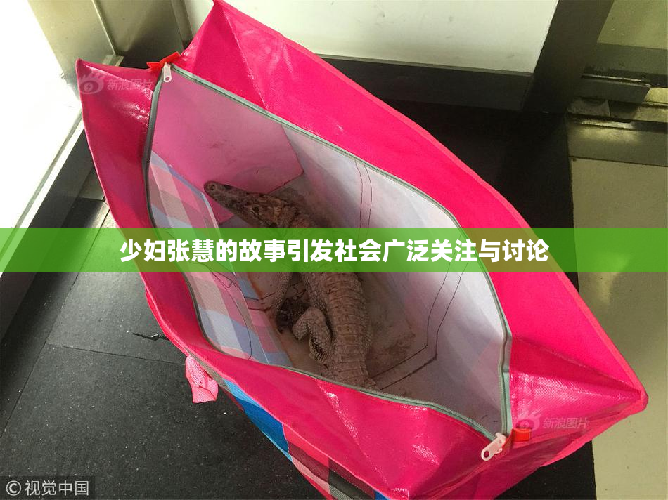 少妇张慧的故事引发社会广泛关注与讨论