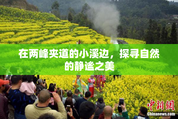 在两峰夹道的小溪边，探寻自然的静谧之美