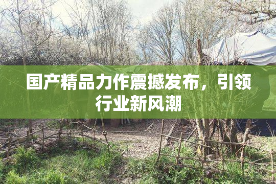 国产精品力作震撼发布，引领行业新风潮
