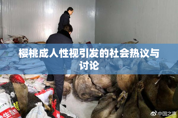 樱桃成人性视引发的社会热议与讨论