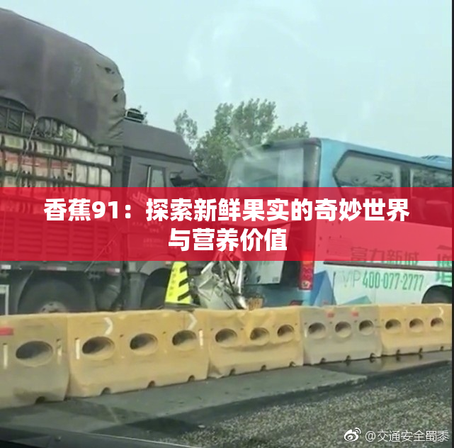 香蕉91：探索新鲜果实的奇妙世界与营养价值