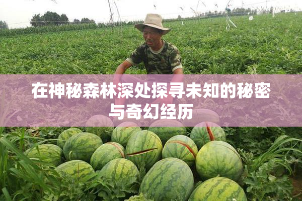 在神秘森林深处探寻未知的秘密与奇幻经历
