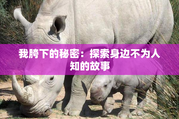 我胯下的秘密：探索身边不为人知的故事
