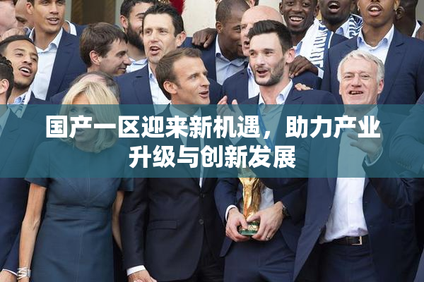 国产一区迎来新机遇，助力产业升级与创新发展