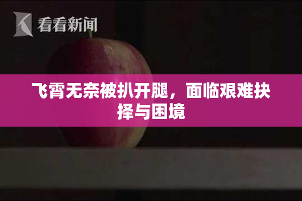 飞霄无奈被扒开腿，面临艰难抉择与困境