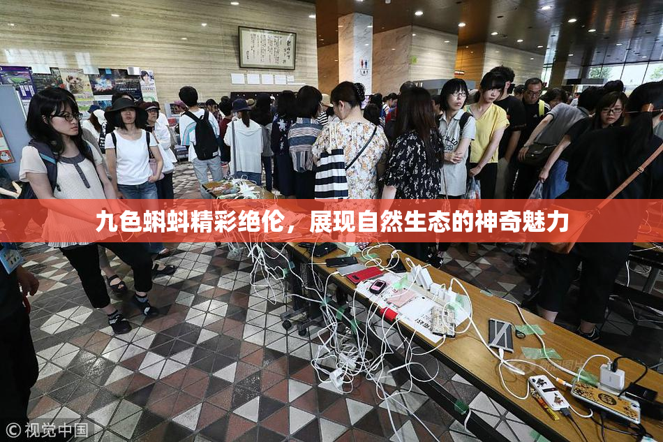 九色蝌蚪精彩绝伦，展现自然生态的神奇魅力