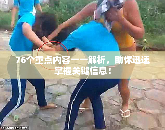 76个重点内容一一解析，助你迅速掌握关键信息！