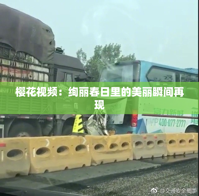 樱花视频：绚丽春日里的美丽瞬间再现