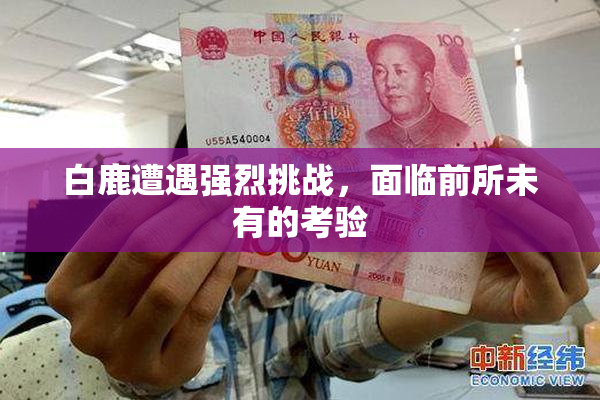 白鹿遭遇强烈挑战，面临前所未有的考验