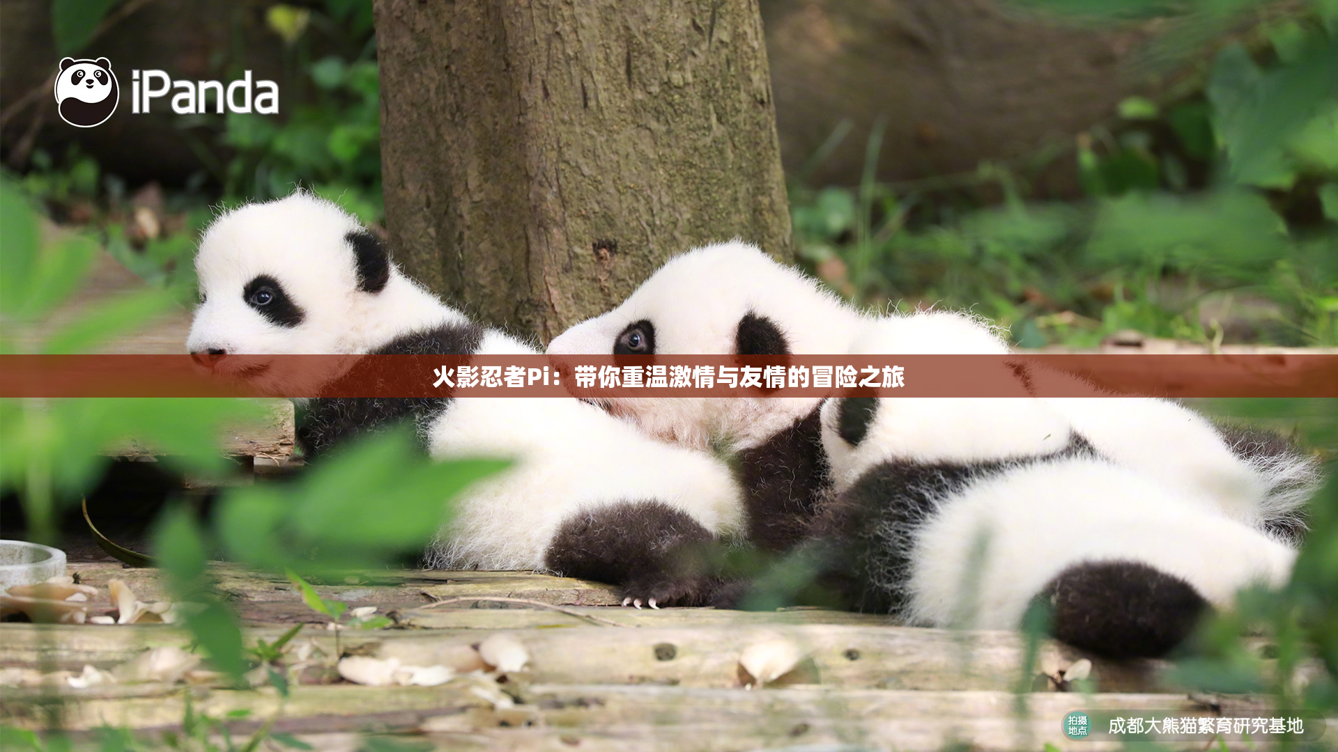 火影忍者Pi：带你重温激情与友情的冒险之旅