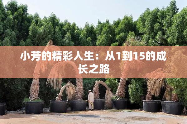 小芳的精彩人生：从1到15的成长之路