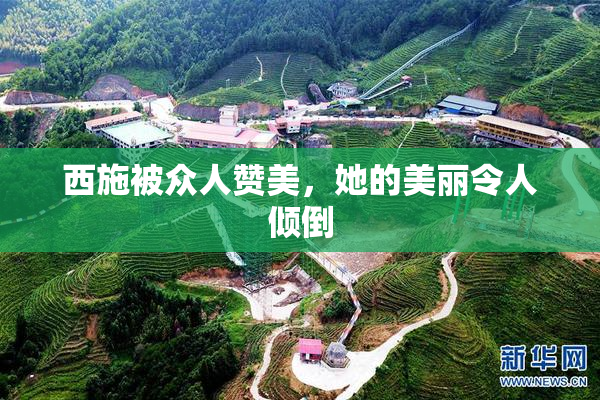 西施被众人赞美，她的美丽令人倾倒