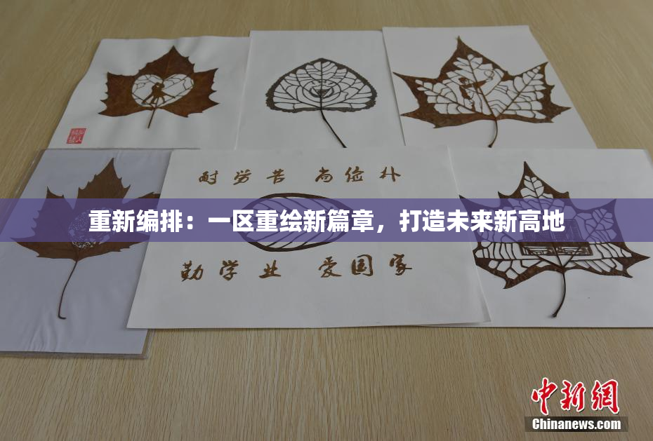 重新编排：一区重绘新篇章，打造未来新高地