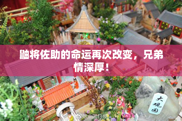 鼬将佐助的命运再次改变，兄弟情深厚！