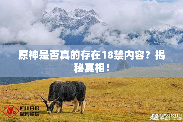 原神是否真的存在18禁内容？揭秘真相！