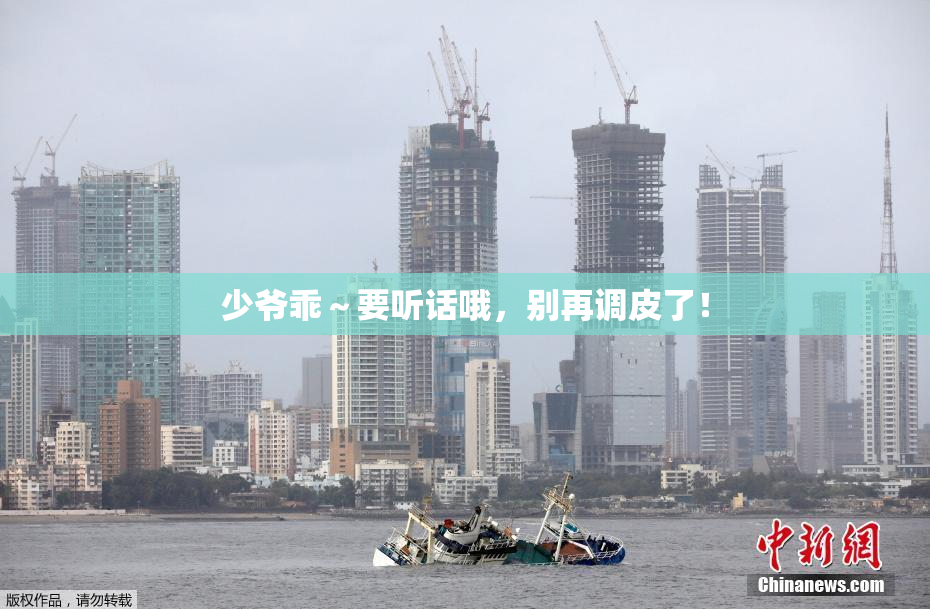 少爷乖～要听话哦，别再调皮了！
