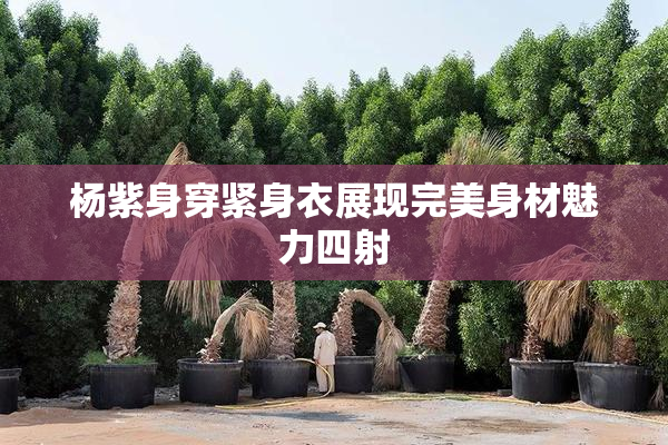 杨紫身穿紧身衣展现完美身材魅力四射