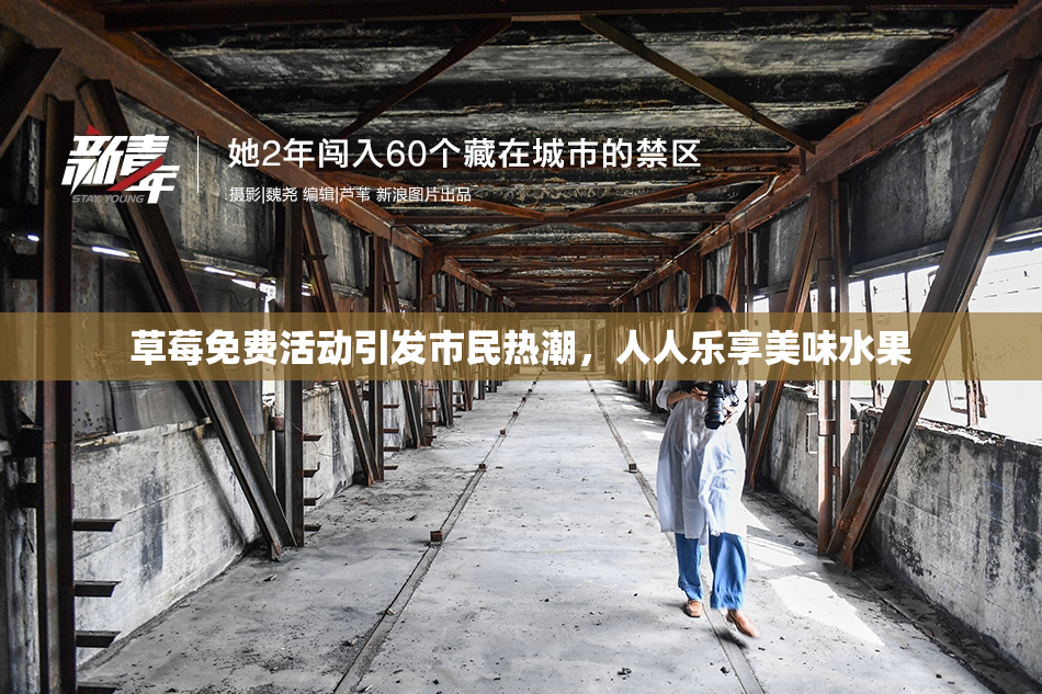 草莓免费活动引发市民热潮，人人乐享美味水果