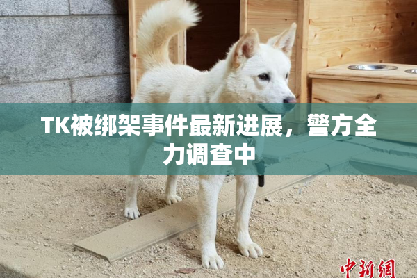 TK被绑架事件最新进展，警方全力调查中
