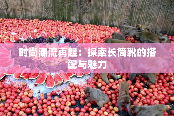 时尚潮流再起：探索长筒靴的搭配与魅力