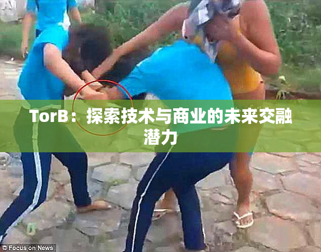TorB：探索技术与商业的未来交融潜力