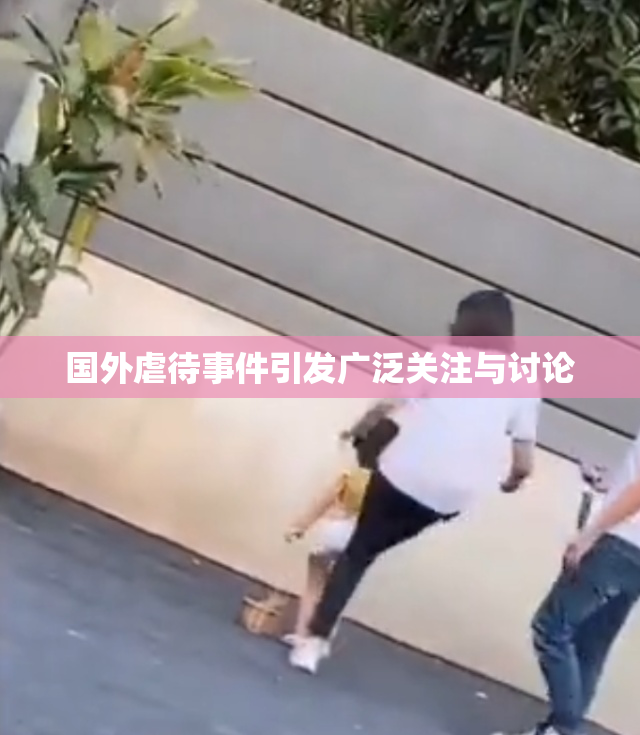 国外虐待事件引发广泛关注与讨论