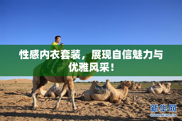 性感内衣套装，展现自信魅力与优雅风采！