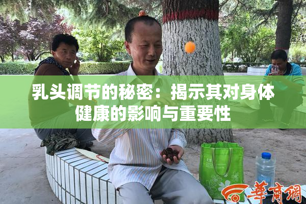 乳头调节的秘密：揭示其对身体健康的影响与重要性