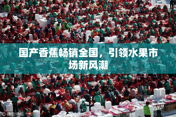 国产香蕉畅销全国，引领水果市场新风潮