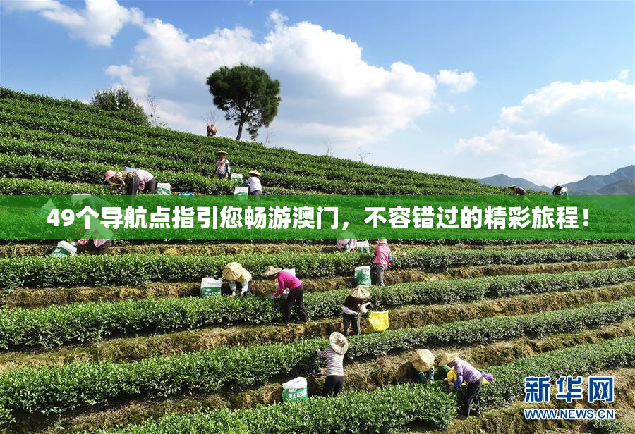 49个导航点指引您畅游澳门，不容错过的精彩旅程！
