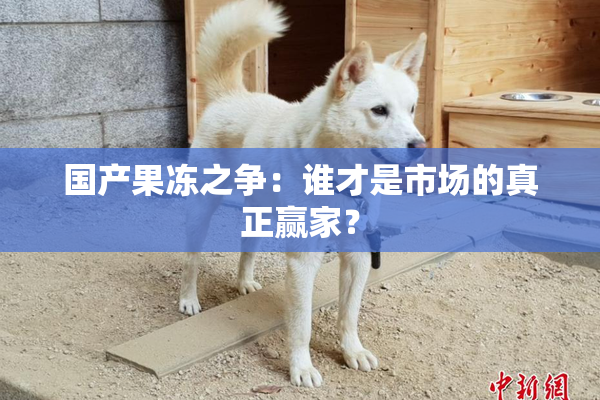 国产果冻之争：谁才是市场的真正赢家？