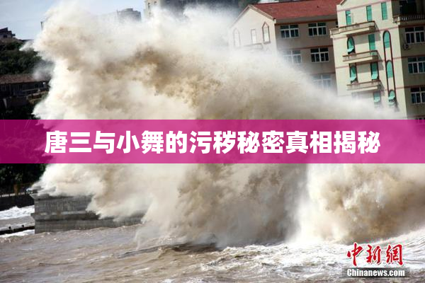 唐三与小舞的污秽秘密真相揭秘