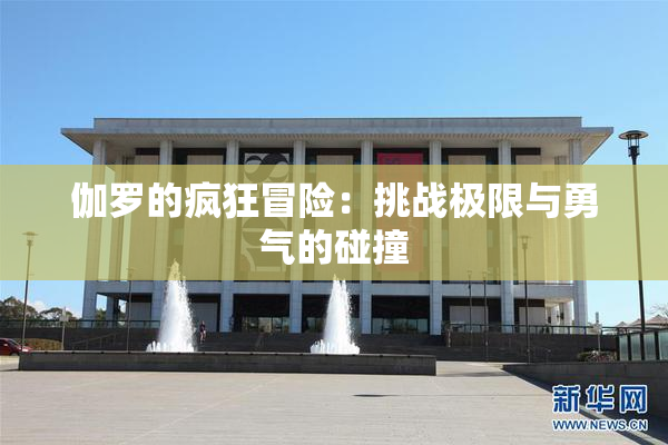 伽罗的疯狂冒险：挑战极限与勇气的碰撞