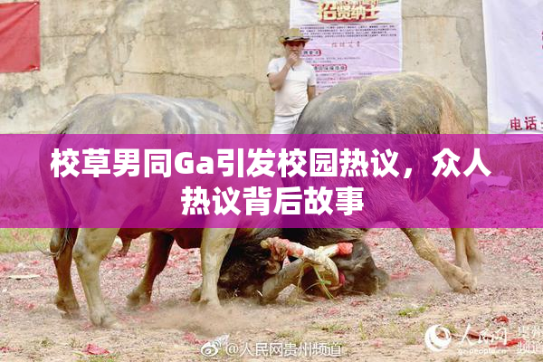 校草男同Ga引发校园热议，众人热议背后故事