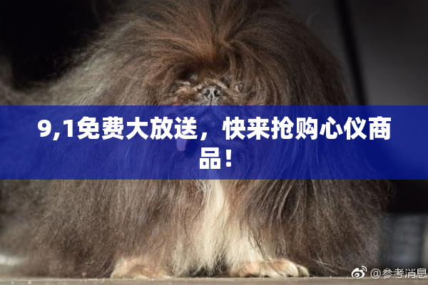 9,1免费大放送，快来抢购心仪商品！
