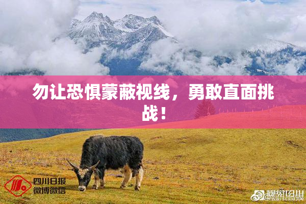 勿让恐惧蒙蔽视线，勇敢直面挑战！