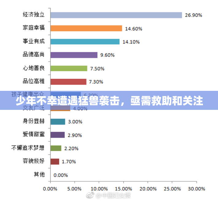 少年不幸遭遇猛兽袭击，亟需救助和关注