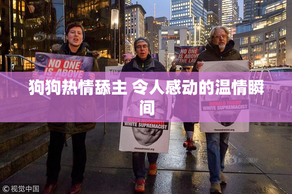 狗狗热情舔主 令人感动的温情瞬间