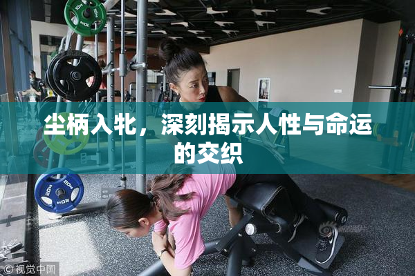 尘柄入牝，深刻揭示人性与命运的交织