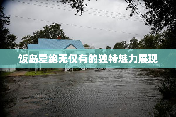 饭岛爱绝无仅有的独特魅力展现