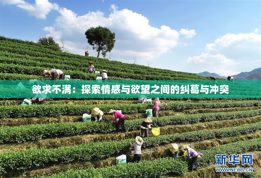 欲求不满：探索情感与欲望之间的纠葛与冲突