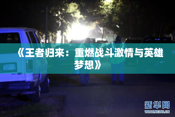 《王者归来：重燃战斗激情与英雄梦想》