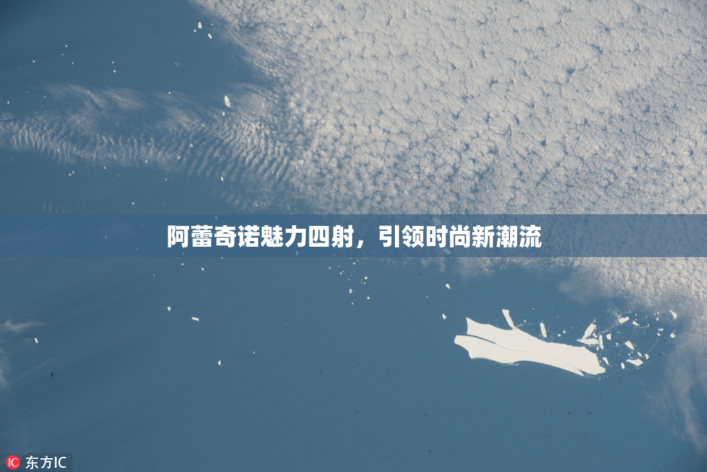 阿蕾奇诺魅力四射，引领时尚新潮流