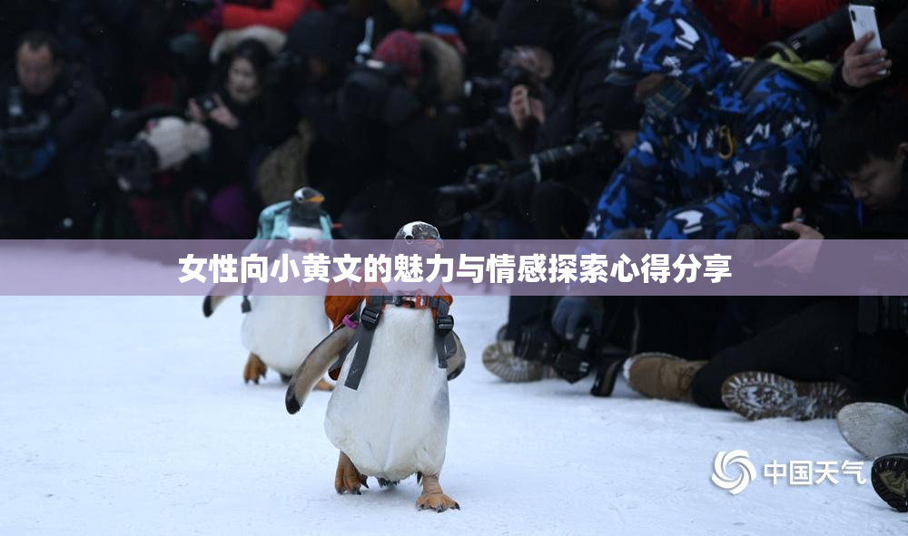 女性向小黄文的魅力与情感探索心得分享
