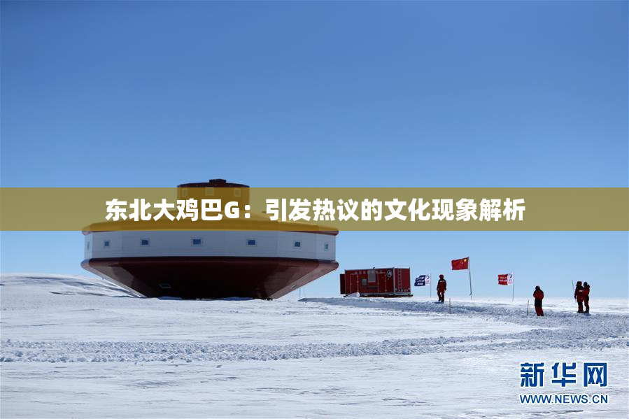 东北大鸡巴G：引发热议的文化现象解析
